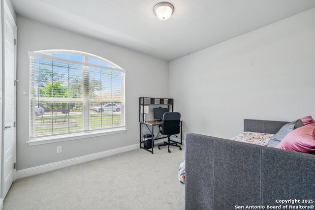 355 Jereth, Castroville, Texas image 21