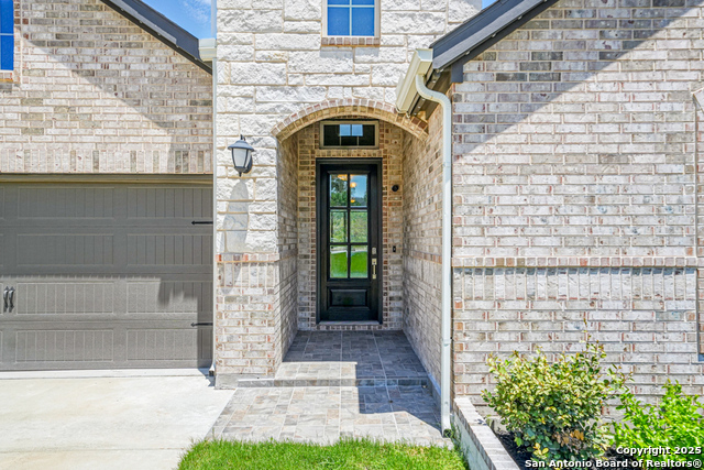 355 Jereth, Castroville, Texas image 3