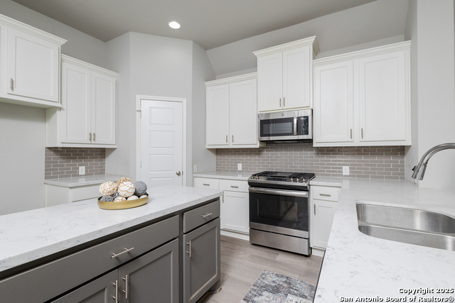14703 Running Wolf, San Antonio, Texas image 12