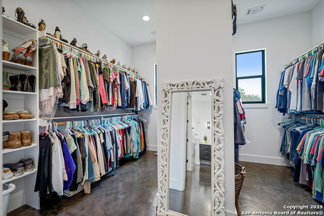 340 Warbler, Spring Branch, Texas image 21