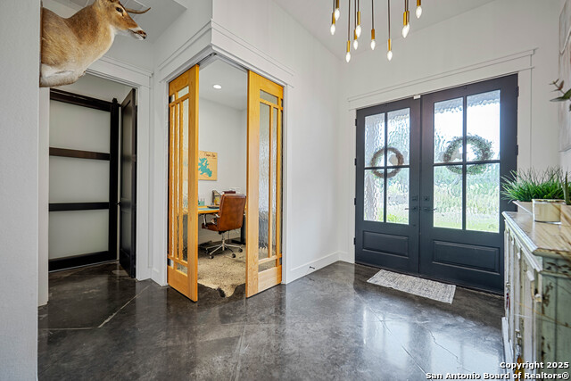 340 Warbler, Spring Branch, Texas image 4