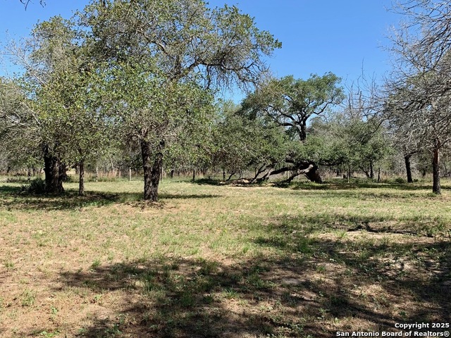118 Willow Creek, Floresville, Texas image 32