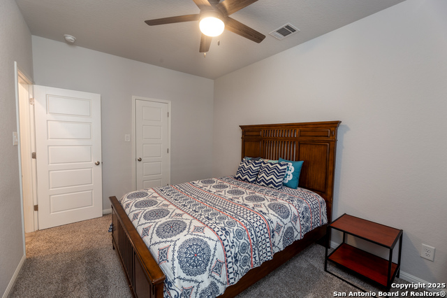 4926 Drifter Oaks, Saint Hedwig, Texas image 16