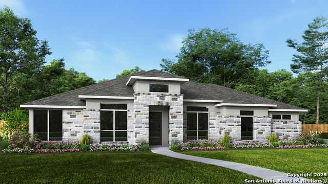 1108 Elm Forest Drive, New Braunfels, Texas image 1