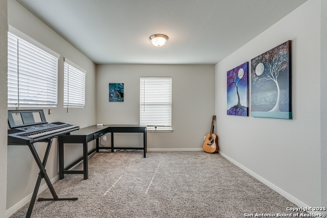 10206 Daylily, Boerne, Texas image 29