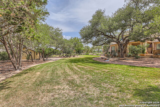 12424 Andice, Helotes, Texas image 38