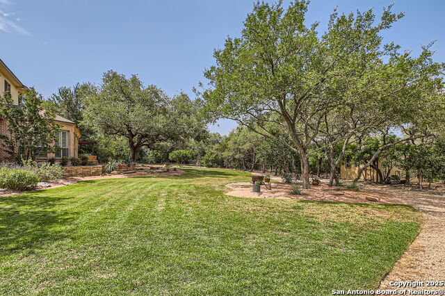 12424 Andice, Helotes, Texas image 39