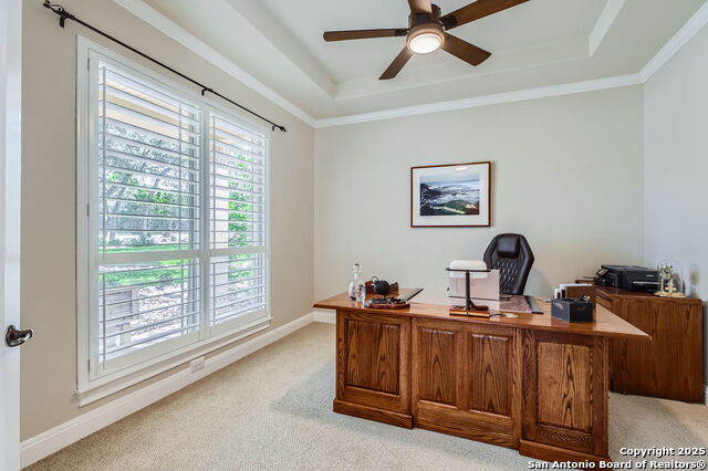 12424 Andice, Helotes, Texas image 6