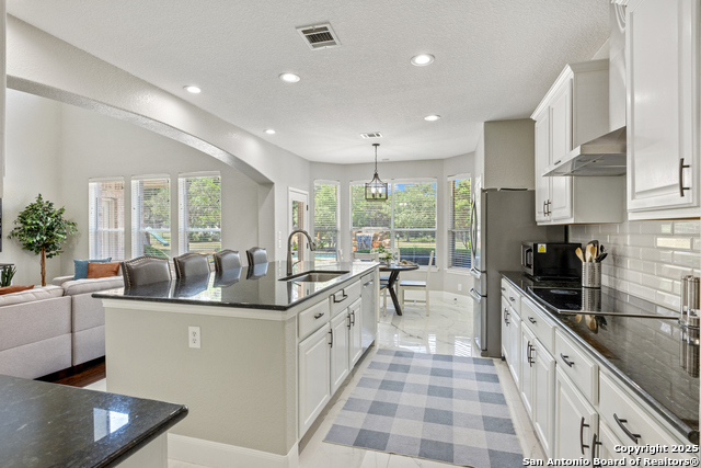 11227 Raw Sienna, Helotes, Texas image 13