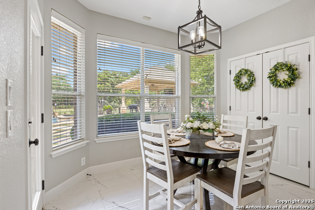 11227 Raw Sienna, Helotes, Texas image 14