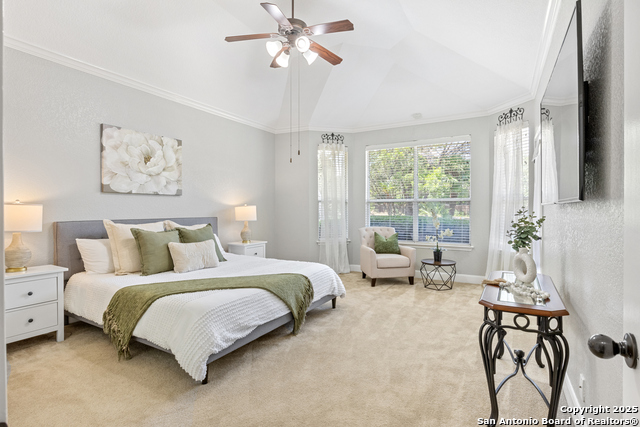 11227 Raw Sienna, Helotes, Texas image 18