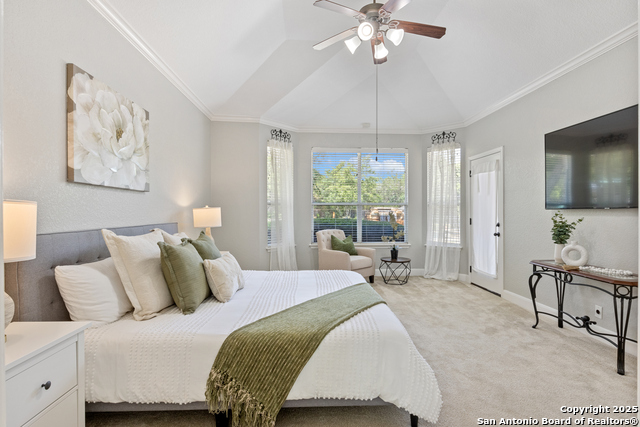 11227 Raw Sienna, Helotes, Texas image 19