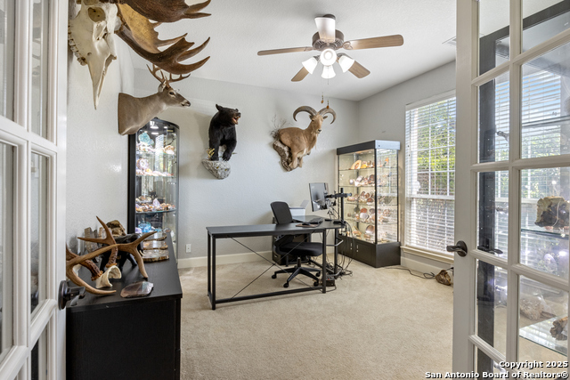 11227 Raw Sienna, Helotes, Texas image 21