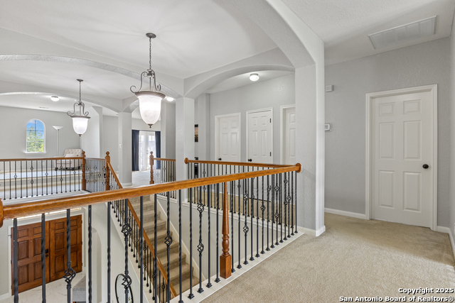 11227 Raw Sienna, Helotes, Texas image 23