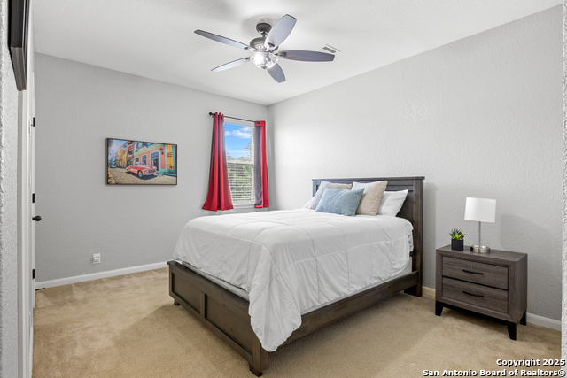 11227 Raw Sienna, Helotes, Texas image 24