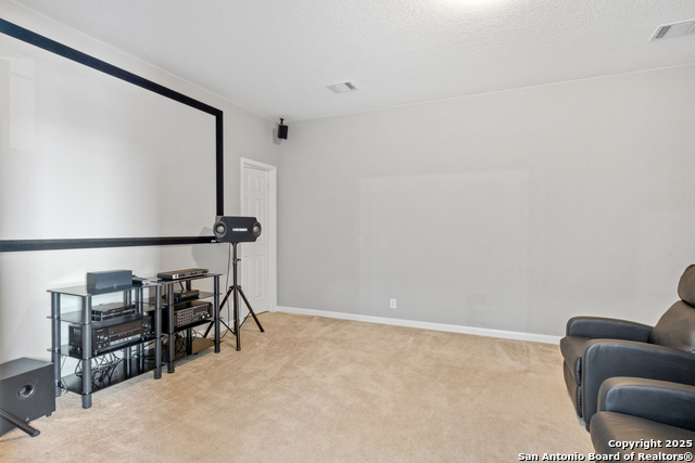 11227 Raw Sienna, Helotes, Texas image 28