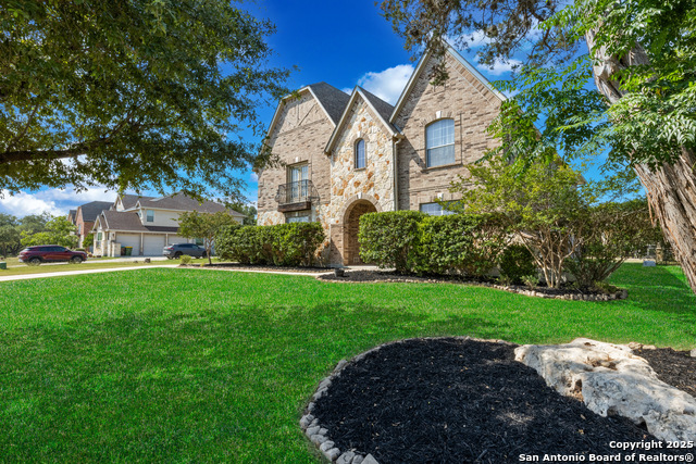 11227 Raw Sienna, Helotes, Texas image 3