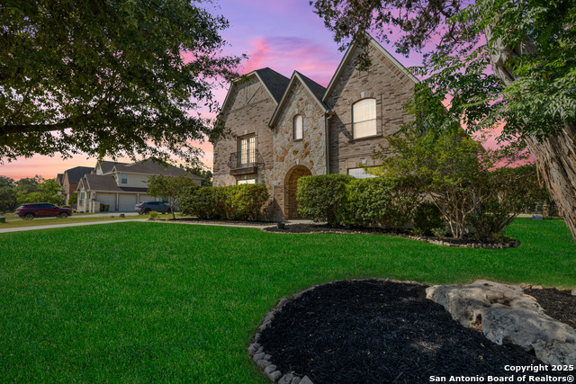 11227 Raw Sienna, Helotes, Texas image 4