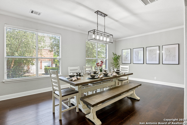 11227 Raw Sienna, Helotes, Texas image 9