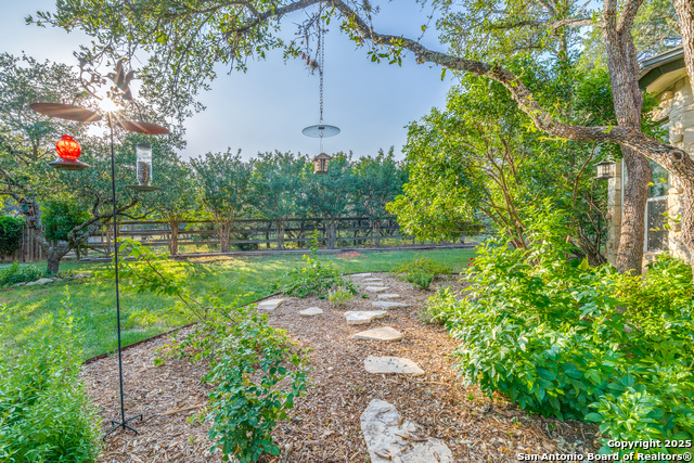 31763 Scarteen, Fair Oaks Ranch, Texas image 32