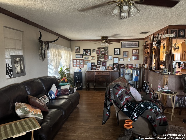7084 Richter, Elmendorf, Texas image 18