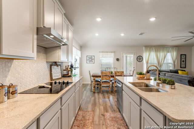 948 Black Horse Way, San Antonio, Texas image 15