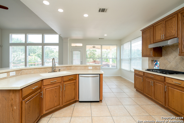 10615 Wind Walker, Helotes, Texas image 17