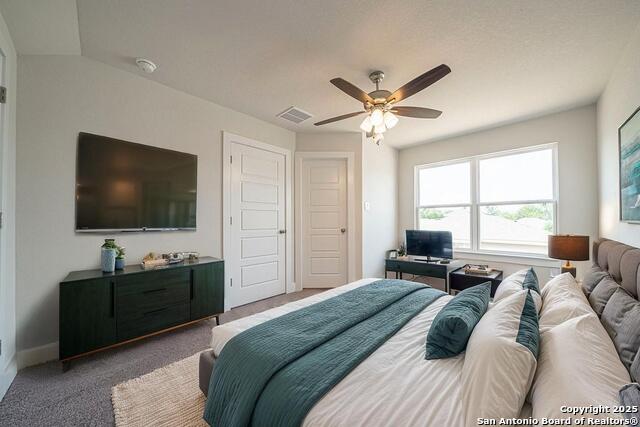300 W Martindale, Seguin, Texas image 7