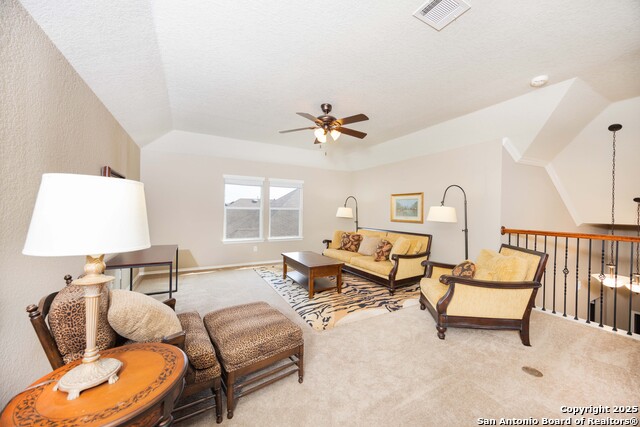 10772 Texas Star, Helotes, Texas image 10