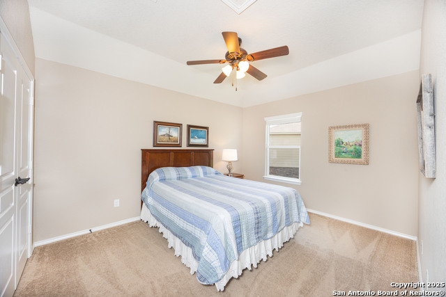 10772 Texas Star, Helotes, Texas image 11