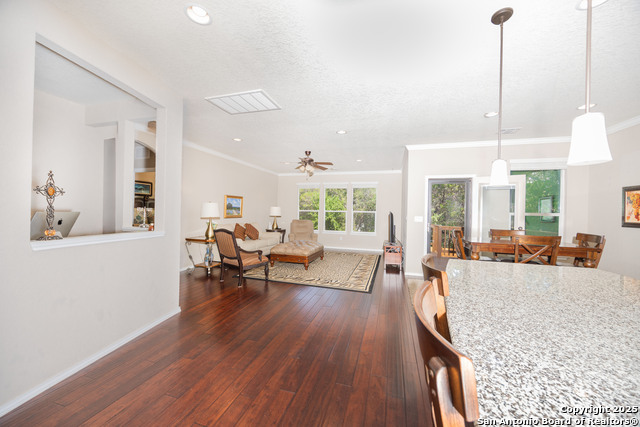 10772 Texas Star, Helotes, Texas image 4