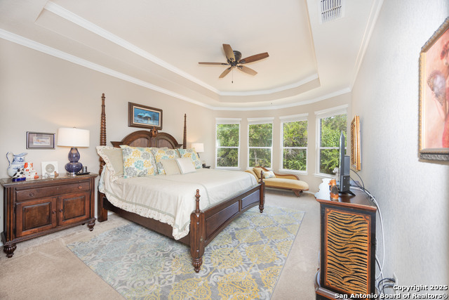 10772 Texas Star, Helotes, Texas image 5