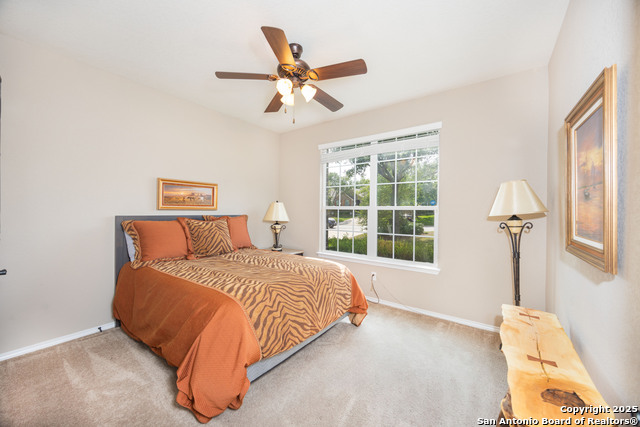 10772 Texas Star, Helotes, Texas image 7