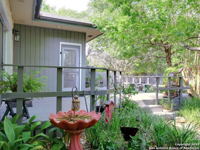 19914 Encino Moss, San Antonio, Texas image 39