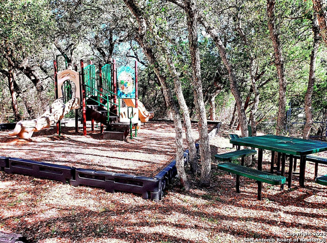 11231 Indian Caves, Helotes, Texas image 8