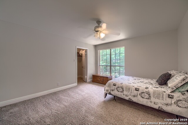 3512 Mcalister, Schertz, Texas image 27