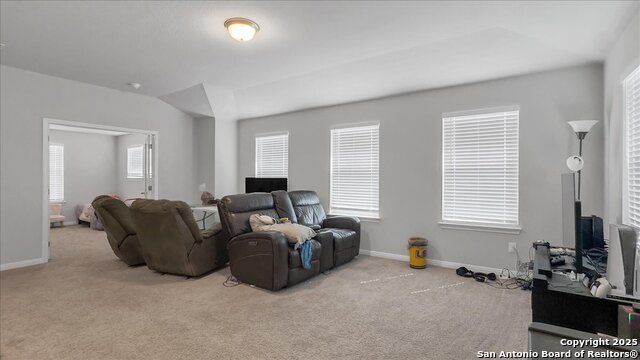 229 Colebrook Way, Cibolo, Texas image 22