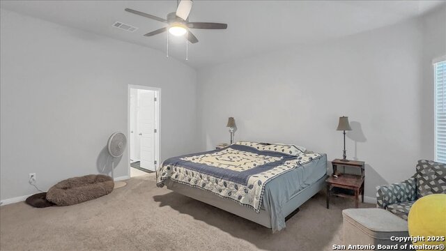 229 Colebrook Way, Cibolo, Texas image 34