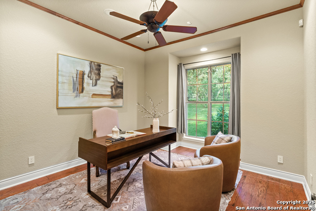 16227 San Cayetano, Helotes, Texas image 34