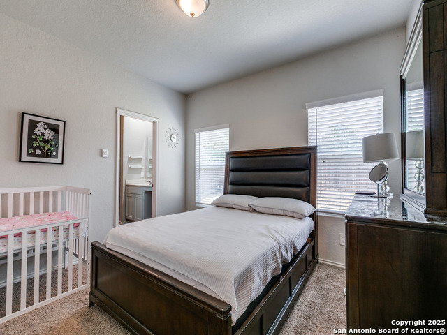 607 Pleasanton Spring, San Antonio, Texas image 15