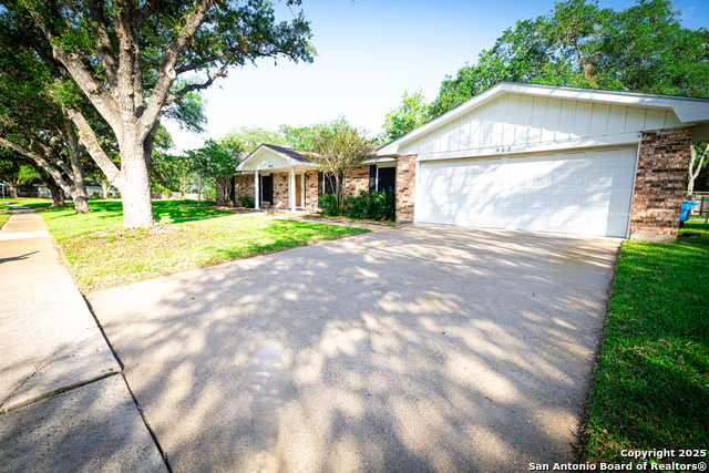 902 Newhall, Beeville, Texas image 4