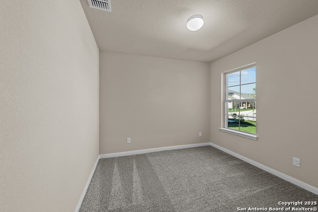 4327 Carlotta Drive, New Braunfels, Texas image 13