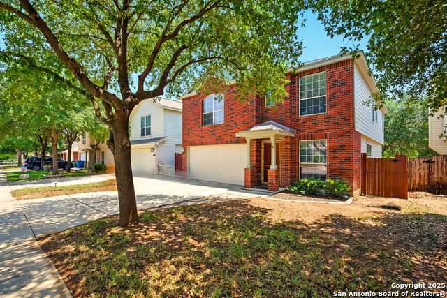 10222 Roseangel, Helotes, Texas image 2