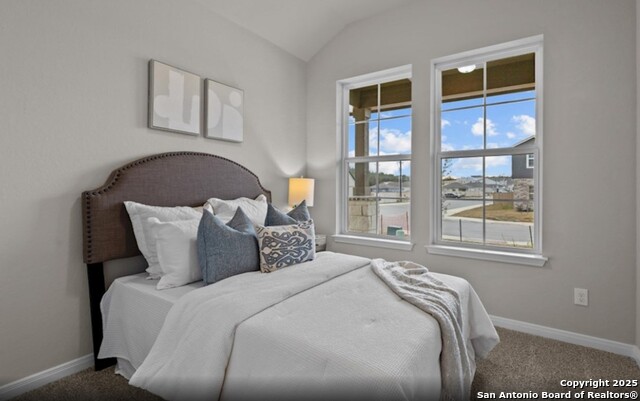 10547 Briceway Bay, Helotes, Texas image 7