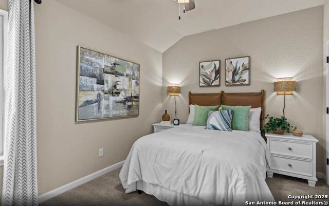 10544 Bricewood Park, Helotes, Texas image 11
