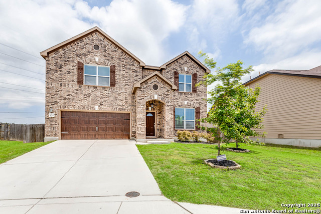 524 Landmark Oak, Cibolo, Texas image 1