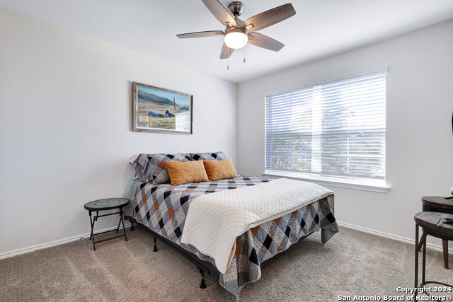 29416 Autumn Copper, Bulverde, Texas image 22