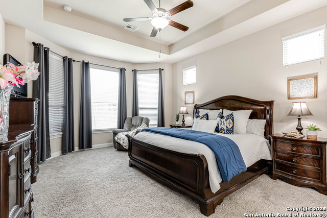 10539 Far Reaches, Helotes, Texas image 10