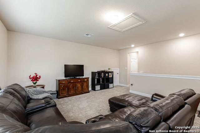 10539 Far Reaches, Helotes, Texas image 22