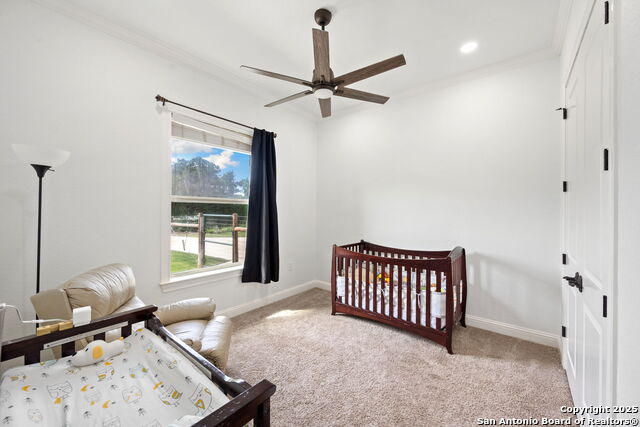 15311 Escarpment Oak, Helotes, Texas image 16